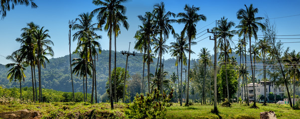 Picturesque modern Thai village among palm trees and mountains, Koh Chang island, Thailand.
