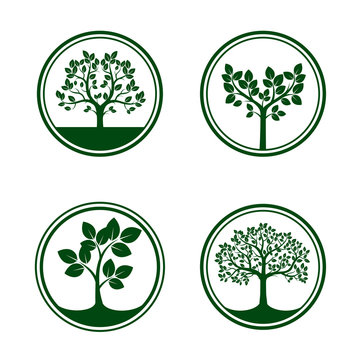 Set of green vector trees in borders.
