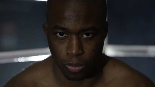  Aggressive fighter sits in corner of ring, psyching himself up for the fight.