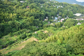 Obraz premium 緑と街並み