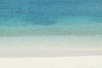 海