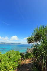 Fototapeta na wymiar 沖縄の美しい海と空