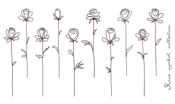 Roses. Collection of isolated rose flower sketch on white background