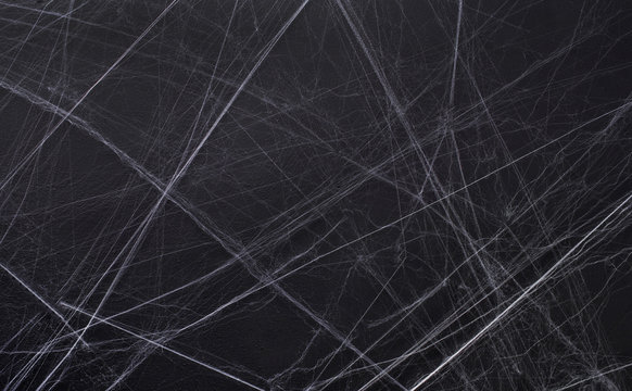 Background for Halloween. Spider's web. Copyspace