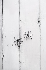 White wooden background with two spiders. Background for Halloween. Copyspace