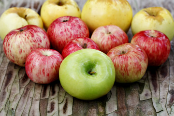 juicy ripe apples