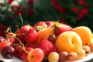 Fruits on white plate