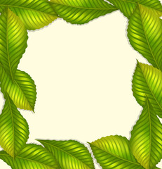 Frame design with green leaves