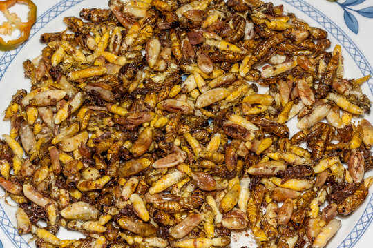 Laves de gu&ecirc;pes
Laves de gu&ecirc;pes en friture &agrave; l'&icirc;le de la R&eacute;union.