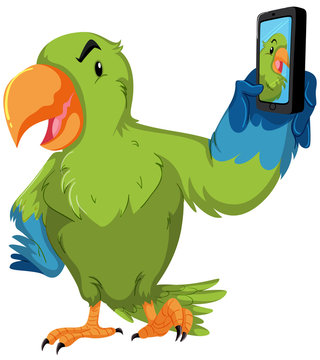 Green parrot taking selfie with phone
