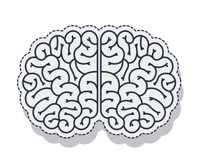 brain storm isolated icon vector illustration design