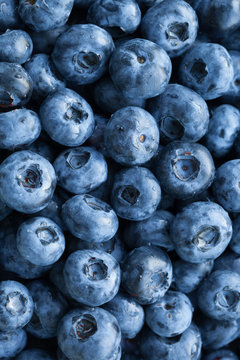 fresh blueberries background, closeup view