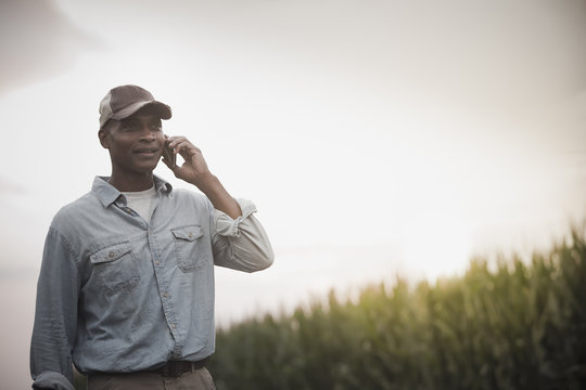 African American Farmer Talking On Cell Phone In Field