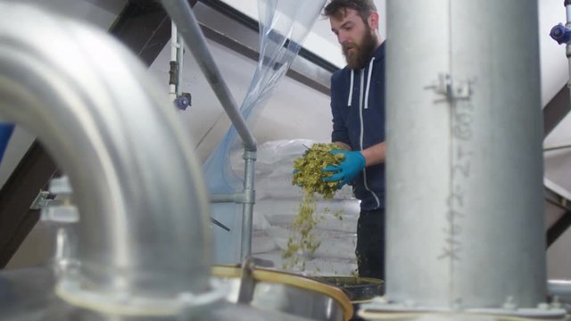  Brewery worker adding hops to industrial machine