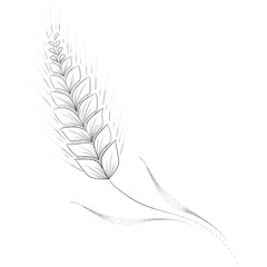 Fototapeta premium The Wheat. Sketch Artwork, Creative Idea, Innovative art, Concept Illustration, Tattoo Design. 