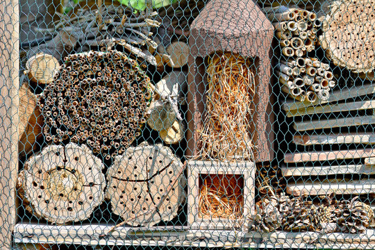 Insektenhotel