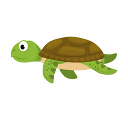 tortoise sea life animal cartoon icon. Isolated and flat illustration. Vector graphic
