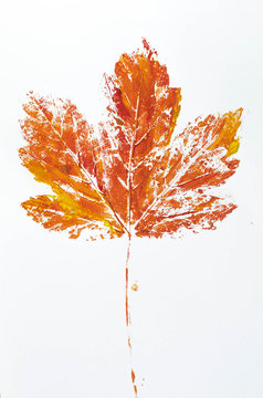 orange printed fall leaf