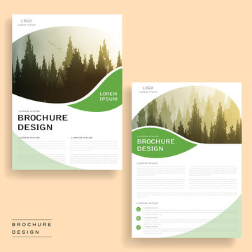 Elegant brochure design