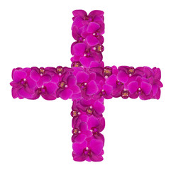 Plus sign made of flowers. Isolated on white background