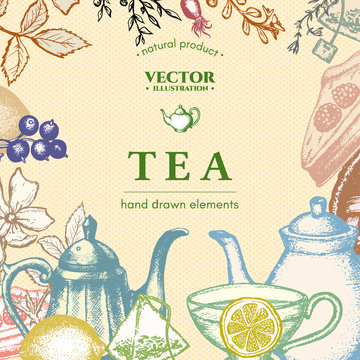 Tea vector card design ink hand drawn illustration