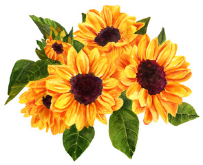 Watercolor drawing of bouquet of vibrant golden yellow sunflower
