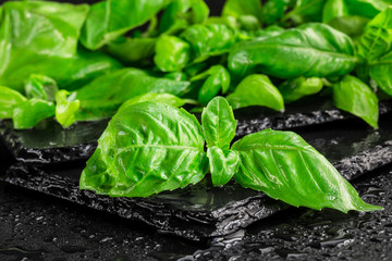 Basil leaves on a black slate
