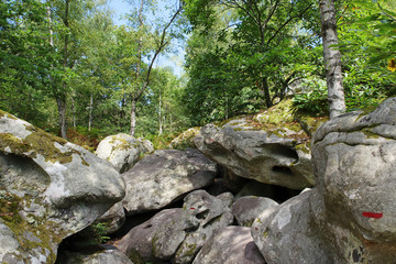 Circuit des 25 bosses dans le Massif des Trois Pignons