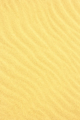 Fototapeta na wymiar Sand Texture./Sand Texture.