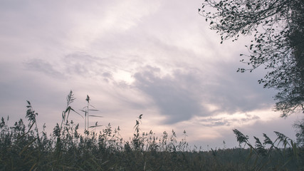 Dark storm clouds over meadow with green grass - vintage effect