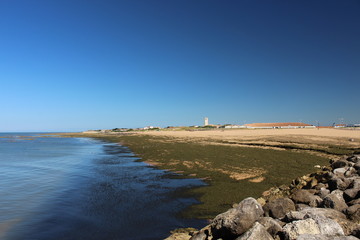 Mar&eacute;e basse