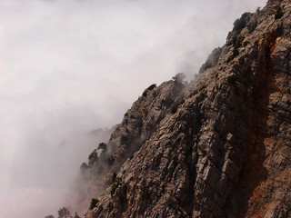 mountainside in thick fog