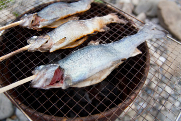 Cook the fish caught in the river beach on the spot

