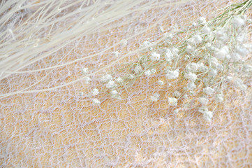 Close up White Flowers on Lace