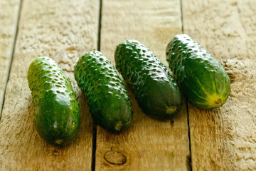 Fresh green cucumbers