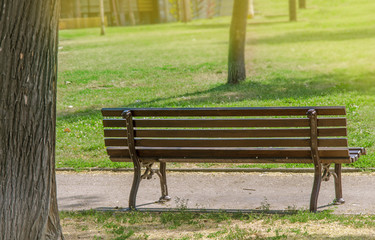 Bench in park on sunny day