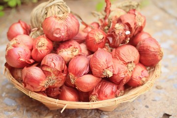 shallots