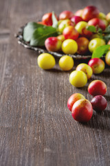 Ripe plums red and yellow. Dark wood background
