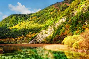 Fototapeta premium River with crystal clear water among wooded mountains and rocks