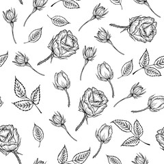 Seamless pattern with black and white rose isolated. Vintage pattern of monochrome rose. Vector rose. Design for card, mothers day, wedding, birthday, textile, web, wallpaper, wraping, print