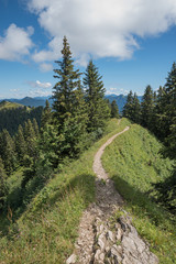 Obraz premium Höhenweg am Brauneck, Oberbayern