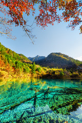 Fantastic view of the Five Flower Lake among colorful fall woods © efired