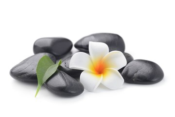 zen basalt stones and Frangipani