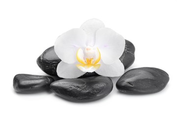 Fototapeta na wymiar zen basalt stones and orchid