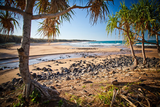 Mon Repos Beach Bundaberg Queensland Australia