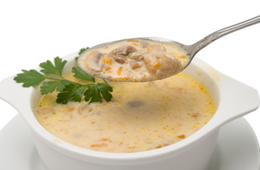 Mushroom soup in the plate