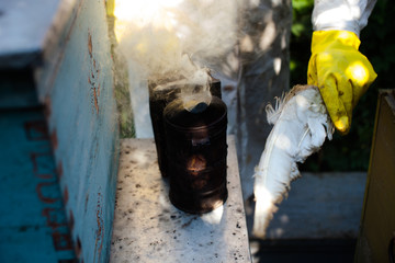 Beekeeper checking a beehive to ensure health of the bee colony or collecting honey. Healthy lifestyle