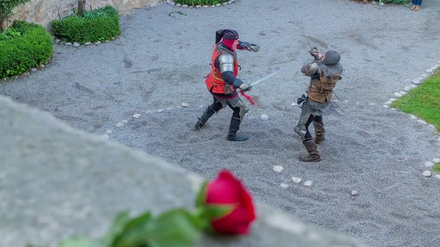 Red rose is lying on the castle's wall and two knights are fencing underneath in the castle's courtyard. Wide-angle shot.
