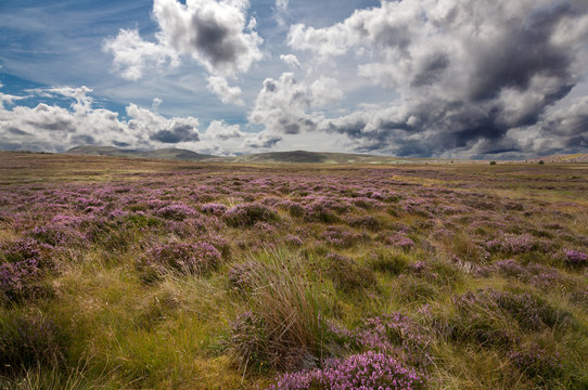 Highlands, Scotland