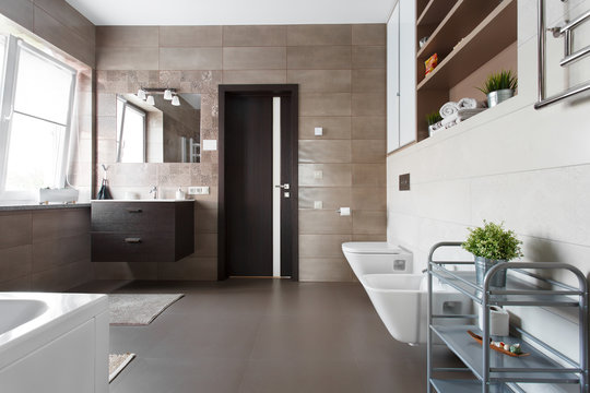 Spacious bathroom in brown tones